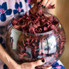 Beet Chips <br> Snack Bags 1 oz
